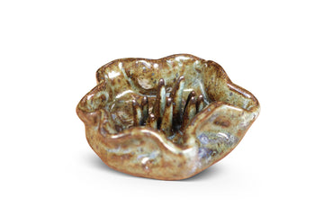 Urchin Ashtray